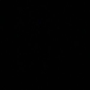 Meet your Posher, Dee